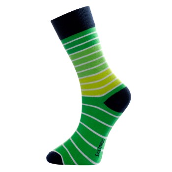Salming Boyer Sock 800009-081